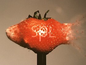 瞬间