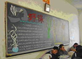 环保主题活动后的感悟