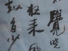 孙雪峰老师书法作品