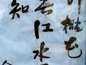 吴金才书法作品