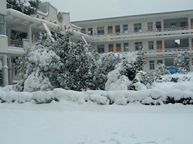 校园之冬1