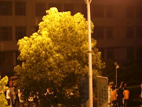 2009-07-22日全食校园瞬间