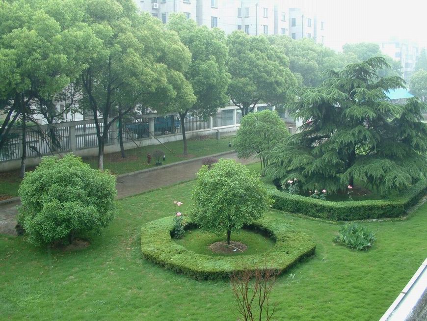 校园律诗
