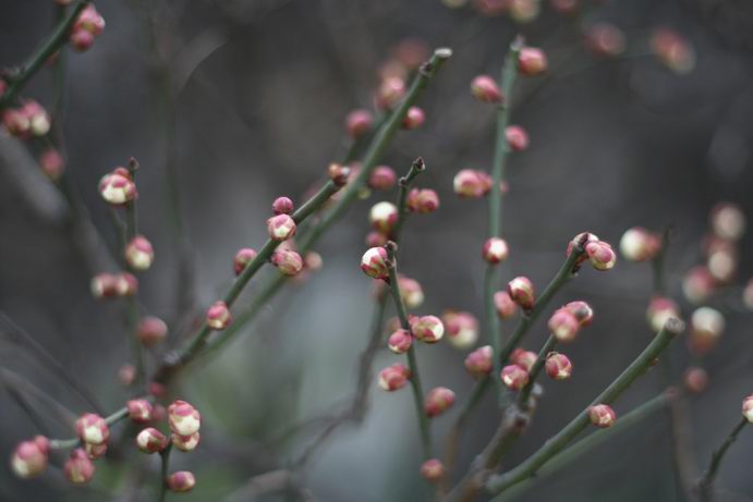 陈新泉老师摄影作品