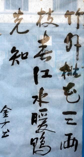 吴金才书法作品